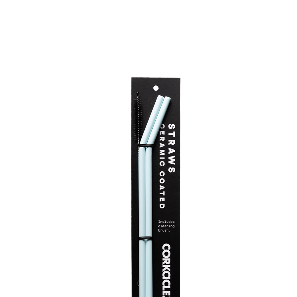 Ceramic Coated Straw Set - Handy Choice H3
